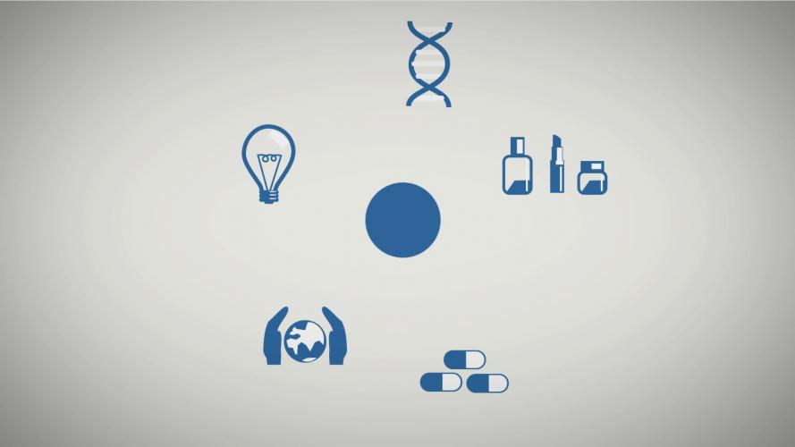 image montagehd-9-mp4-snapshot-03-08-2014-05399.jpg